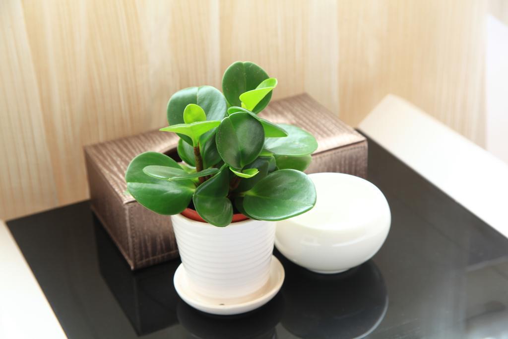 Shang Yuan Hotel Kanton Zimmer foto